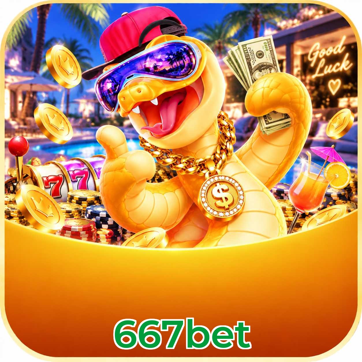667bet Plataforma FAQ